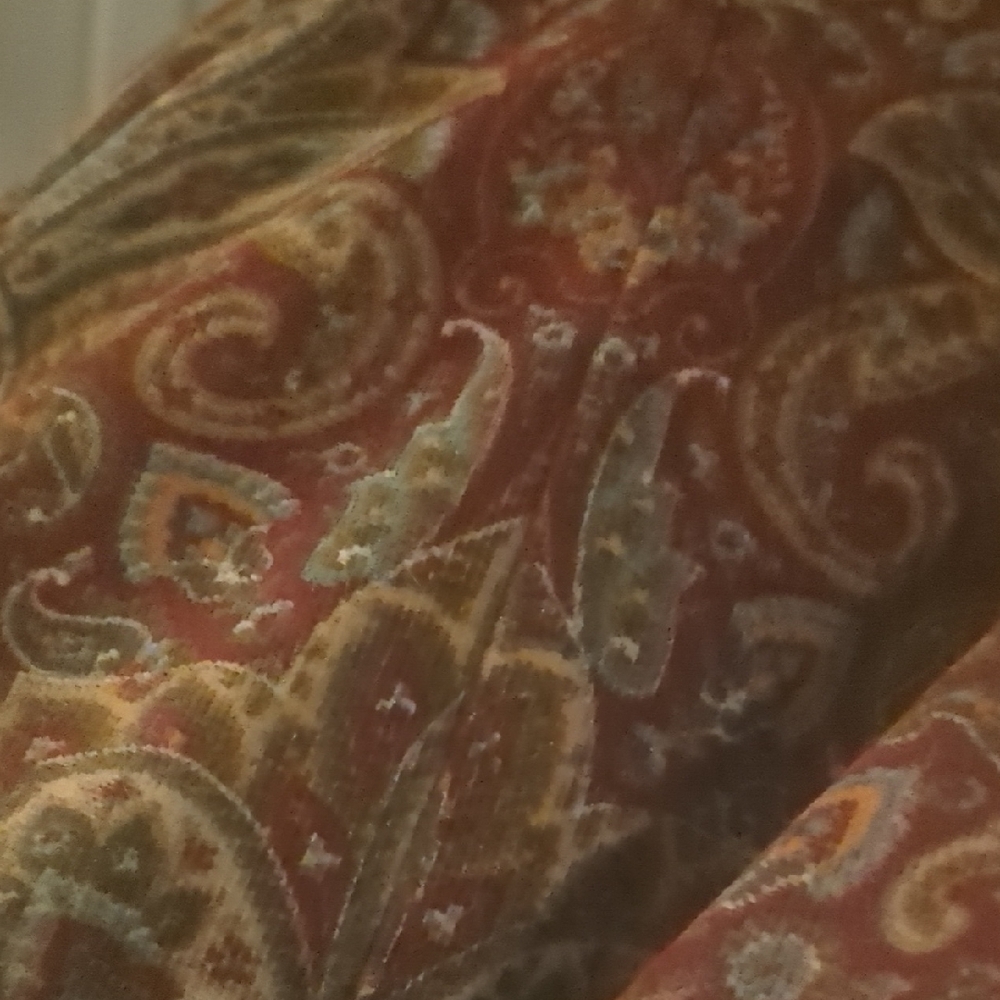 Paisley Duvet Cover in Red and Brown
